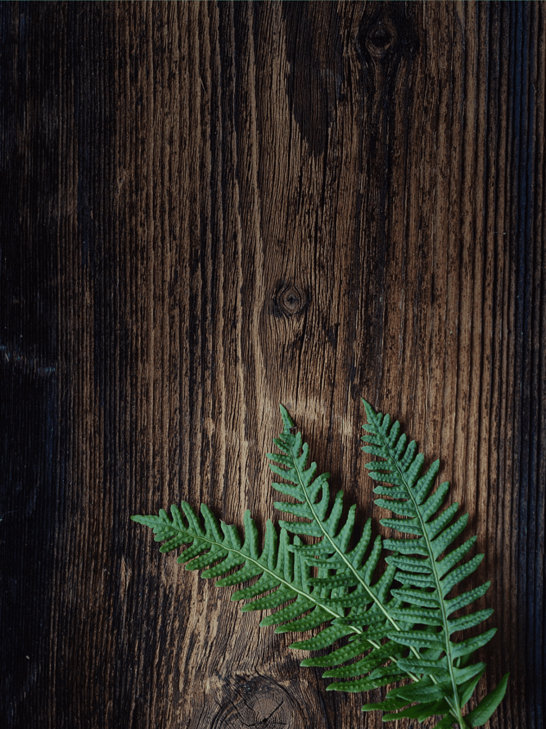 Rustic Congratulations