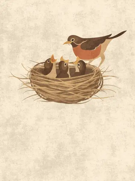 Minimalist Baby Bird