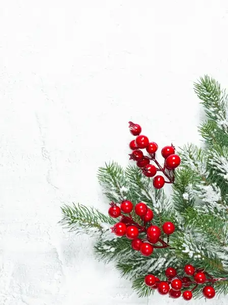 Bold Holly Berries