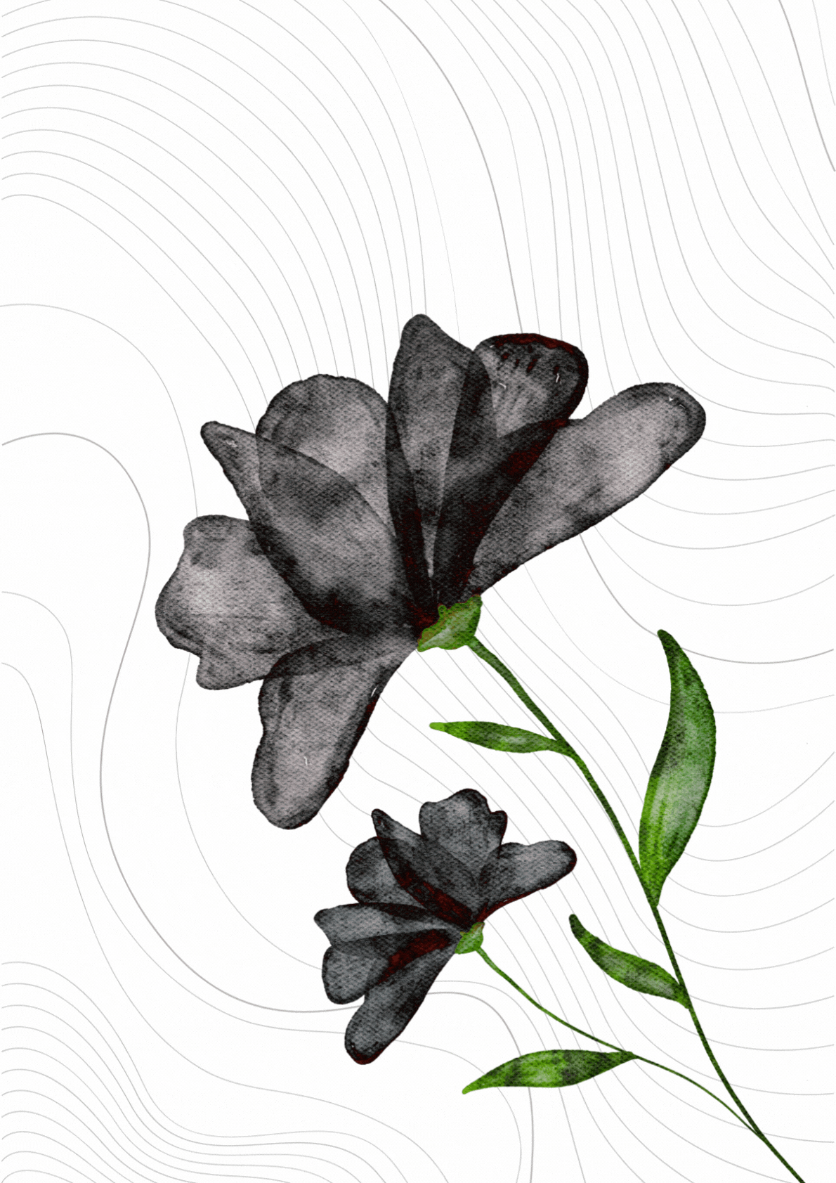 Monochrome Botanical Birthday