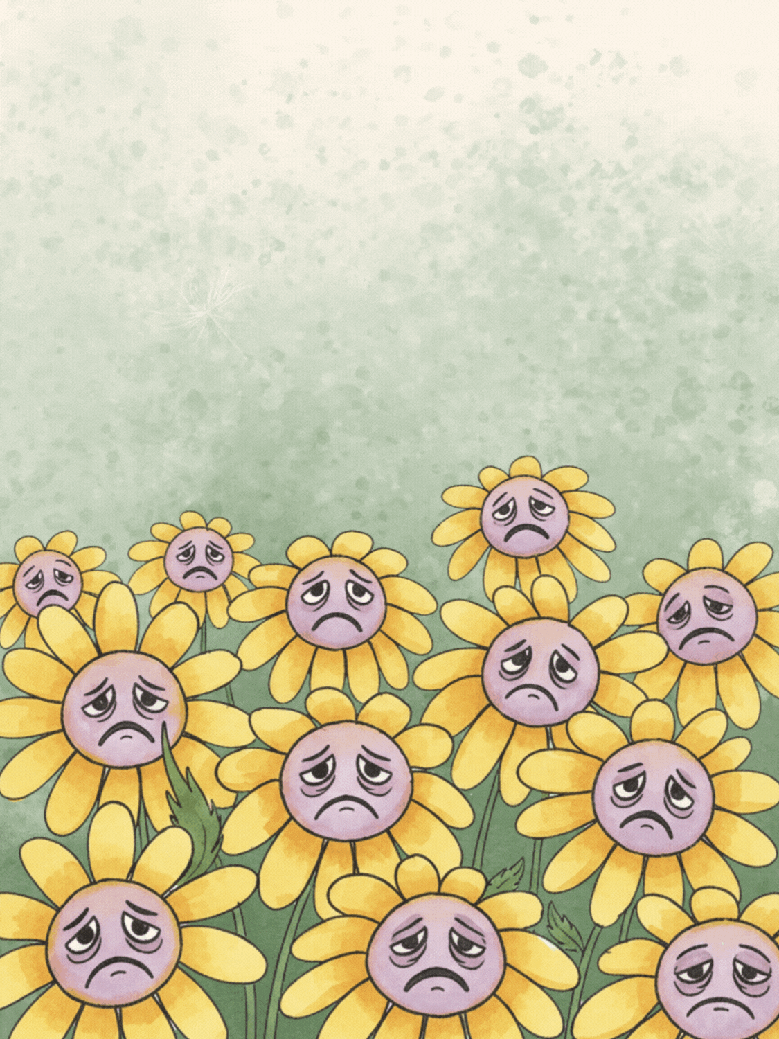 Oopsie Daisy Apology