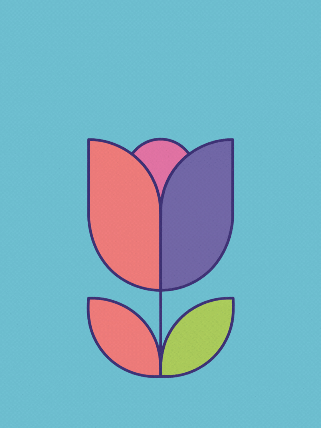 Tri-Color Tulip Trouble