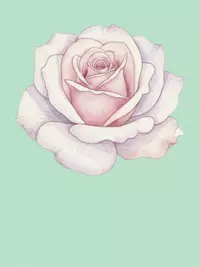 Free Congratulations Card - Elegant Watercolor Design