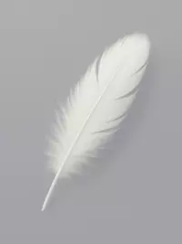 Free 'Be Kind' Card - Simple & Elegant Message