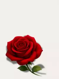 Free Graduation Card - Elegant & Customizable!