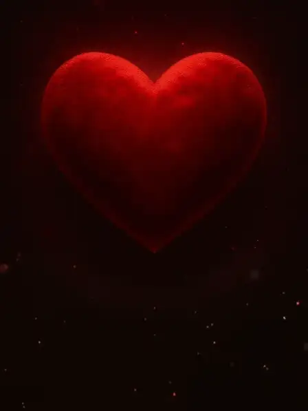 My Heart