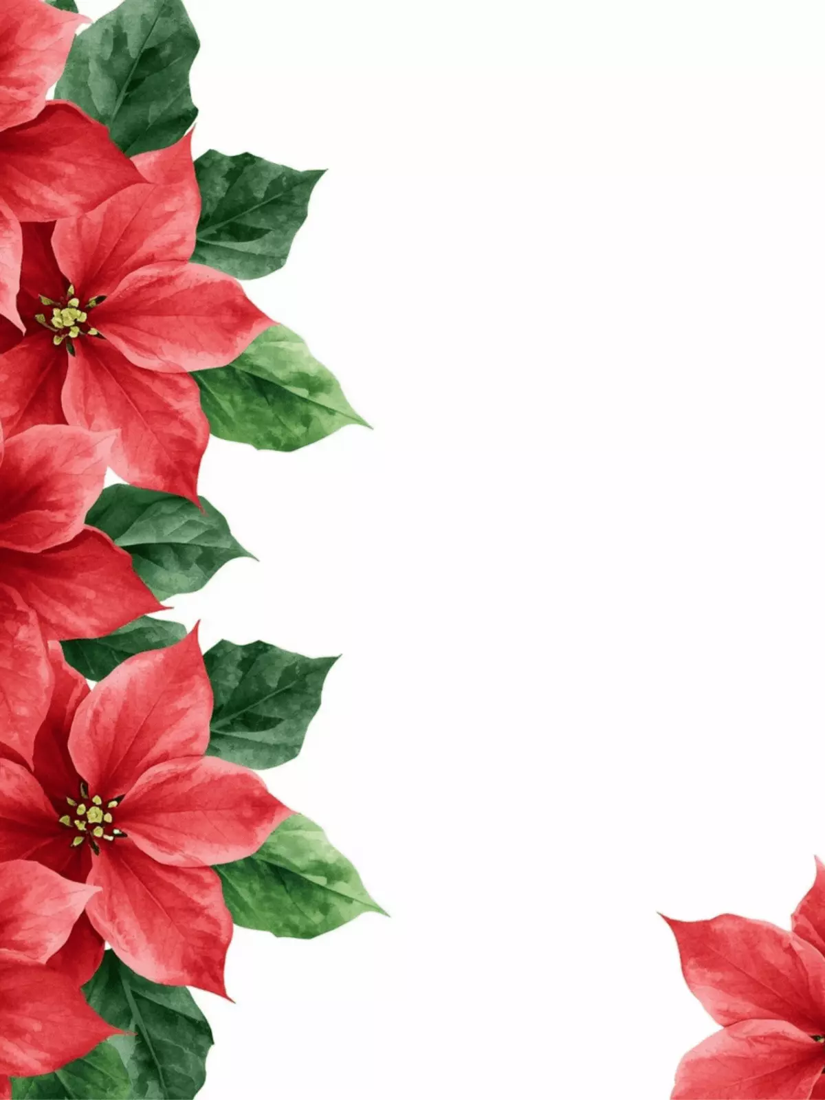 Elegant Christmas card featuring a watercolor poinsettia border in red and green, festive holiday design, hand-painted floral arrangement.