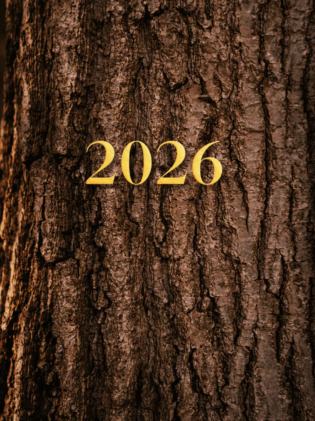New Year 2026 card featuring organic textures like wood grain, leaves, and soil, conveying warmth and heartfelt wishes.