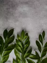 Free Thinking of You Card - Send Friendly Whimsy Online