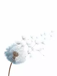 Free Keep Going Watercolor Card - Send Hope & Motivation