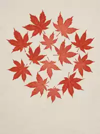 Free Vintage Canada Day Card - Customize & Send Online