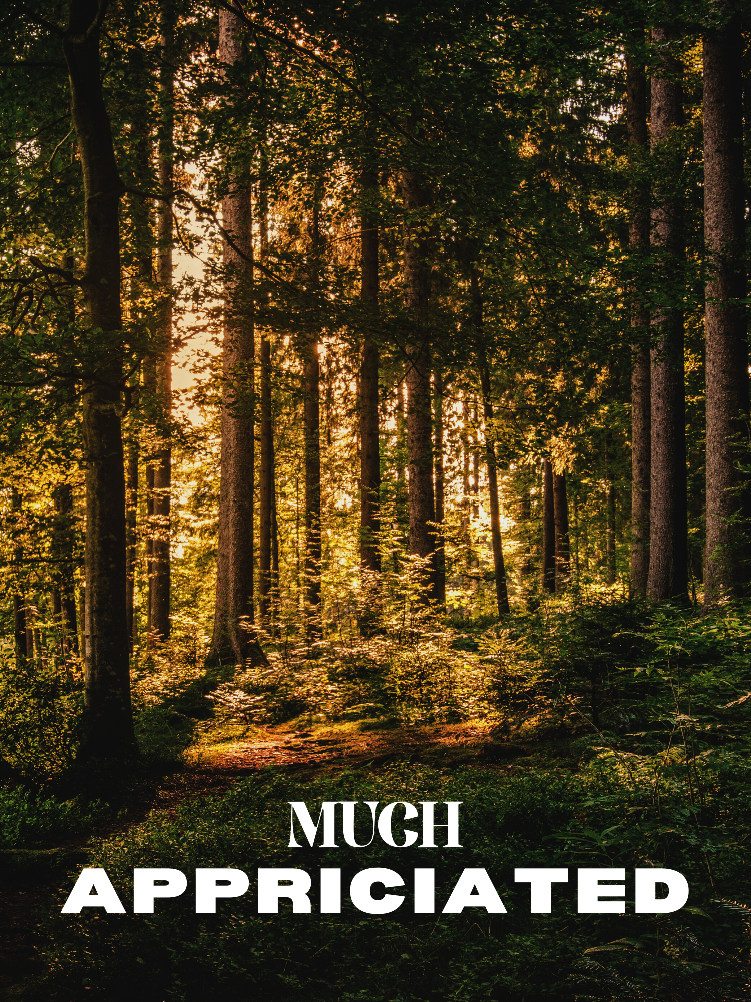 Earthy Appreciations