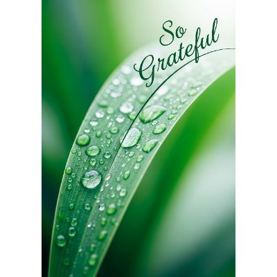 Free Thank You Card - Dewy Leaf Gratitude