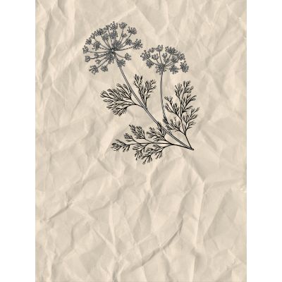 Free Baby Shower Card - Minimalist & Elegant