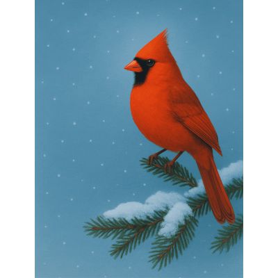 Free Christmas Card - Send a Winter Cardinal Greeting!