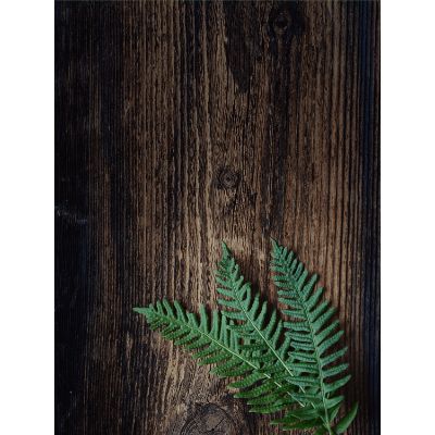 Free Congratulations Card - Rustic & Heartfelt Design