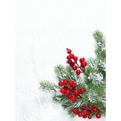 Free Christmas Card - Send Bold Holiday Greetings!