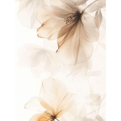 Free Sympathy Card - Send Comforting Wishes Online