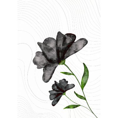 Free Birthday Card - Elegant Botanical Design