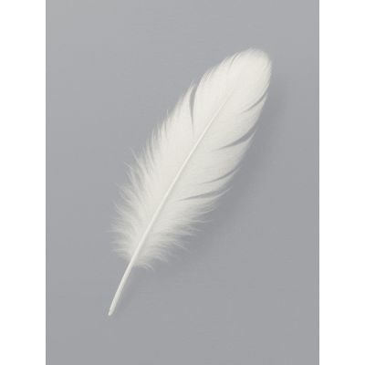 Free 'Be Kind' Card - Simple & Elegant Message