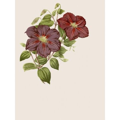 Free Mother's Day Card - Best Mom Ever!