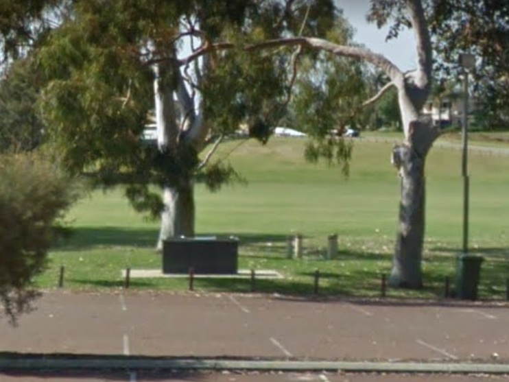 Centenary Park, Wilson