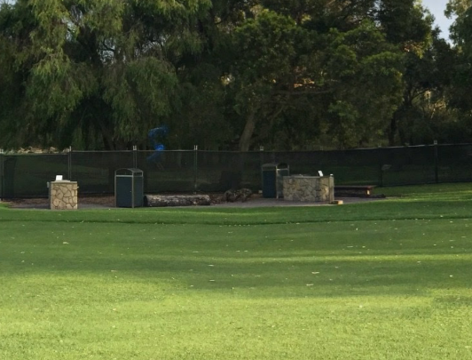 Kings Park