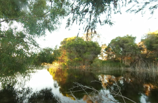 Monyash Reserve 2