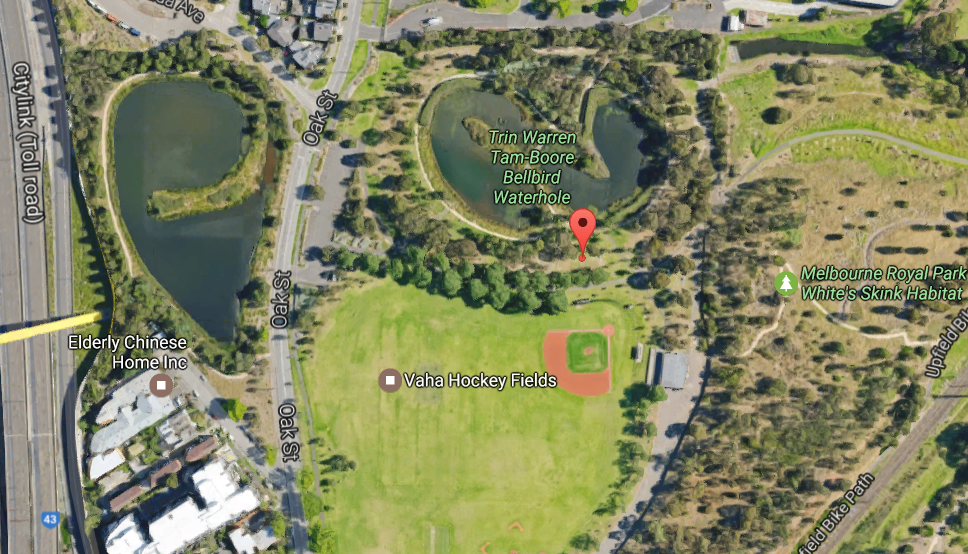 Bellbird Waterhole