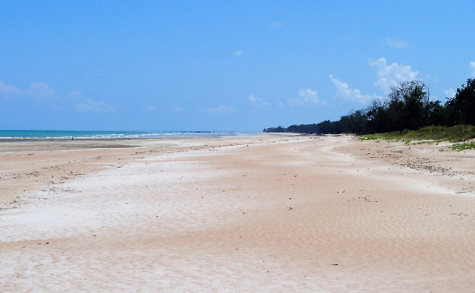 Casuarina Coastal Reserve