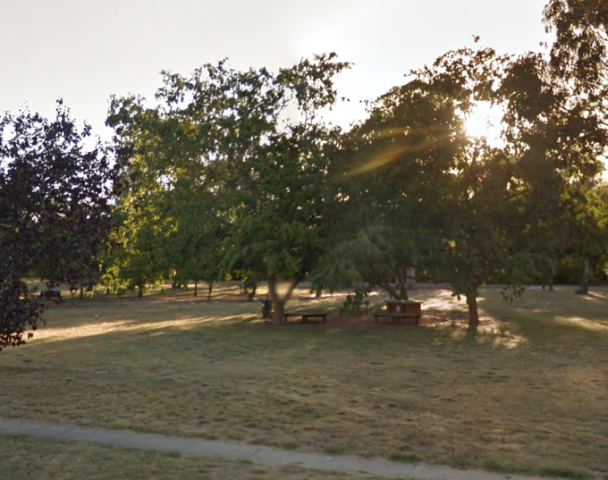 Lowanna St Park 1