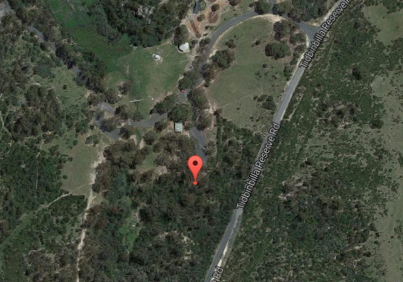 Sheedy's Picnic Area 5