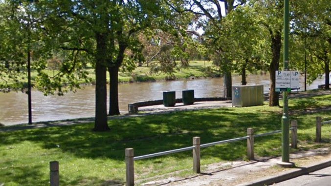 Yarra River Linear Reserve 8