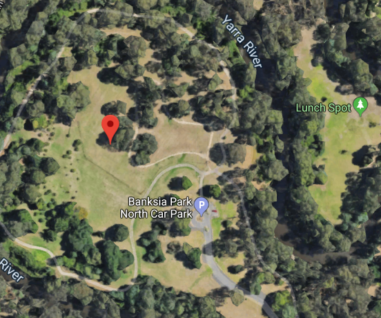Banksia Park