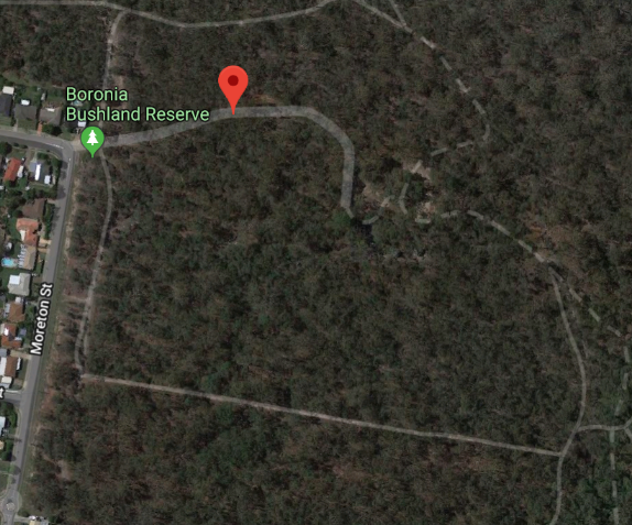Boronia Bushland Reserve