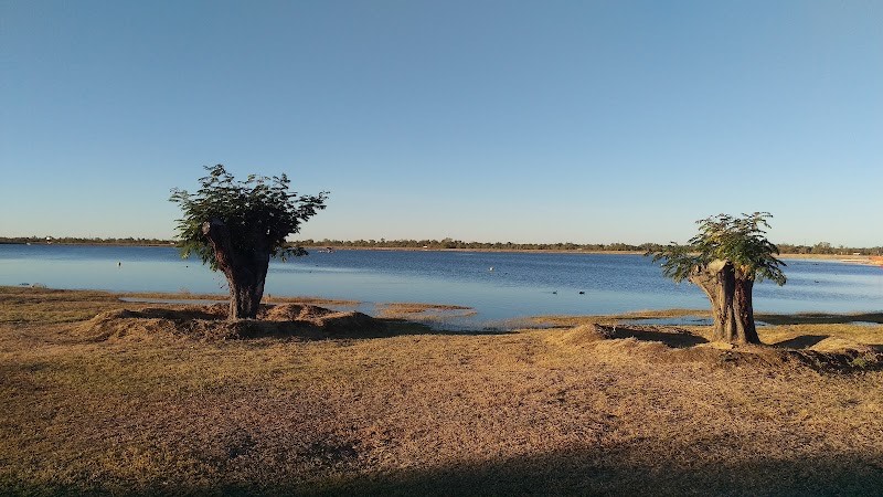 Bush Tucker Gardens