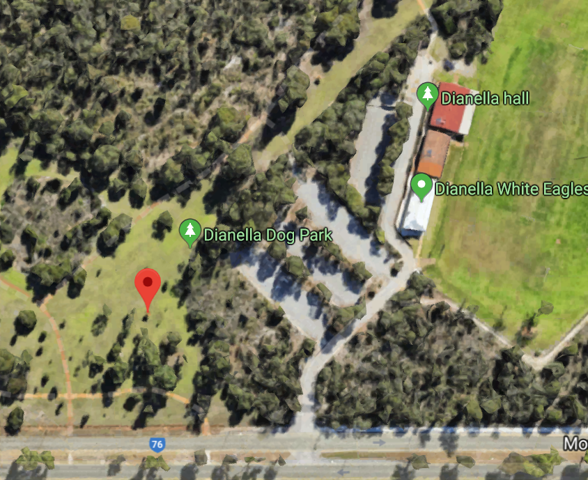 Dianella Dog Park