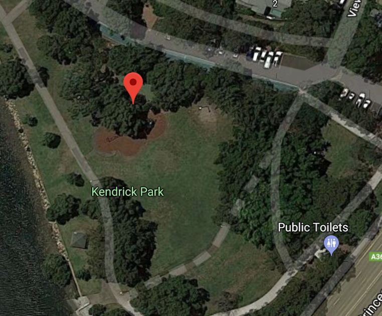 Kendrick Park