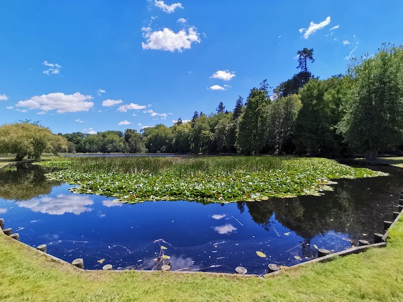 Lake Te Koo Utu Reserve