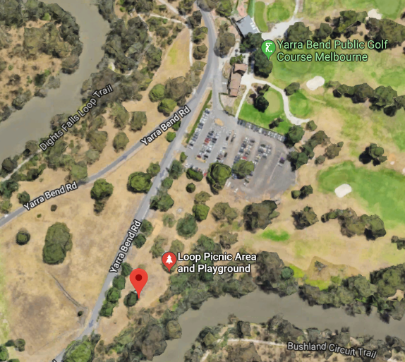 Loop Picnic Area