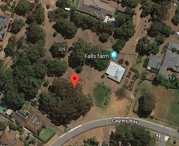 Neil Tonkin Park