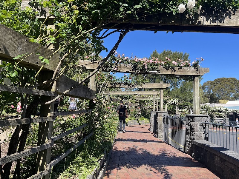 Rose Garden