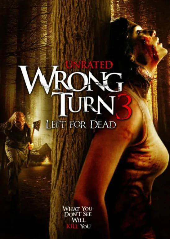 Naslovna slika horor filma Wrong Turn 3: Left for Dead(2009)
