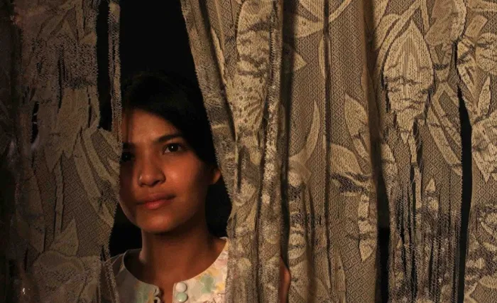 Scena iz filma The Maid(2005) 3