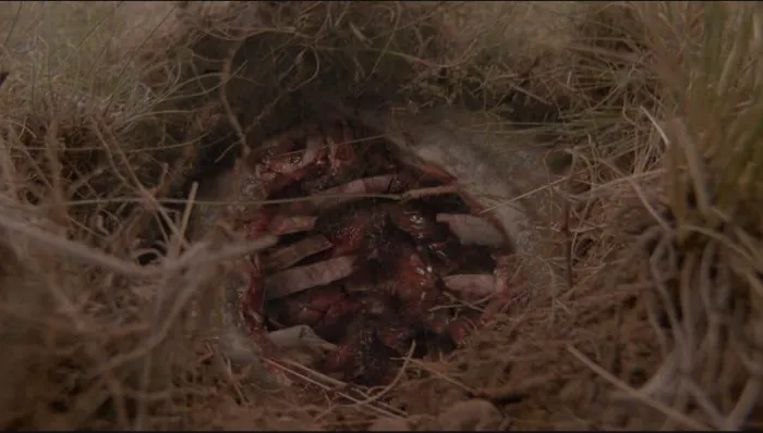 Scena iz filma The Burrowers(2008) 1