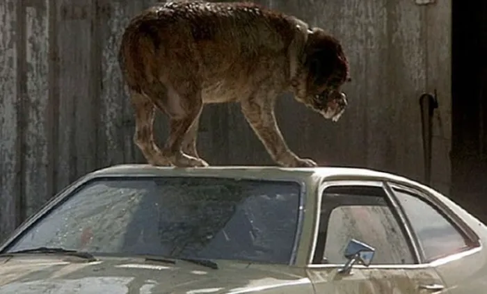 Scena iz filma Cujo(1983) 3