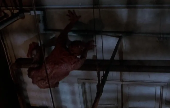 Scena iz filma The Fly (1986) 1