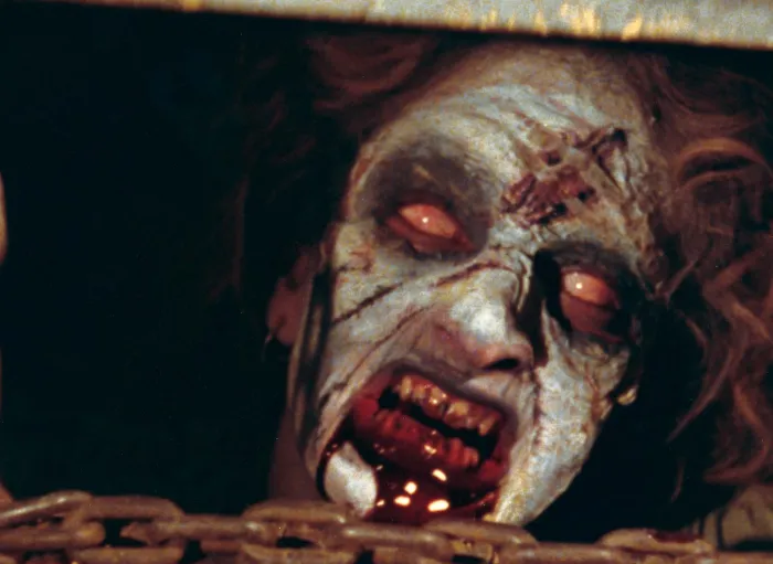 Scena iz filma The Evil Dead(1981) 3