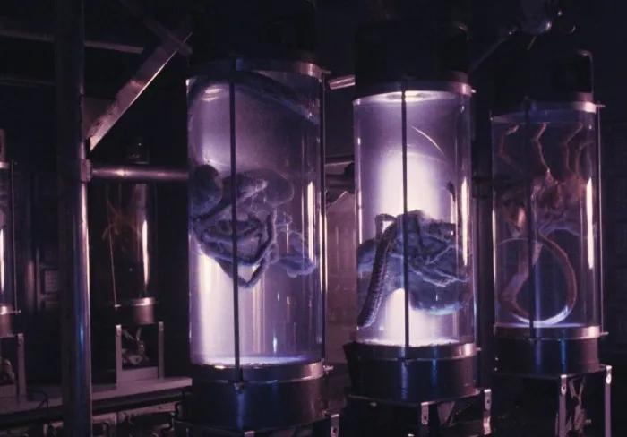 Scena iz filma Aliens(1986) 3