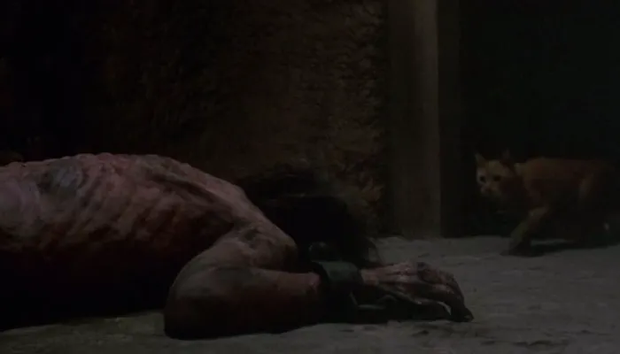 Scena iz filma Castle Freak(1995) 3